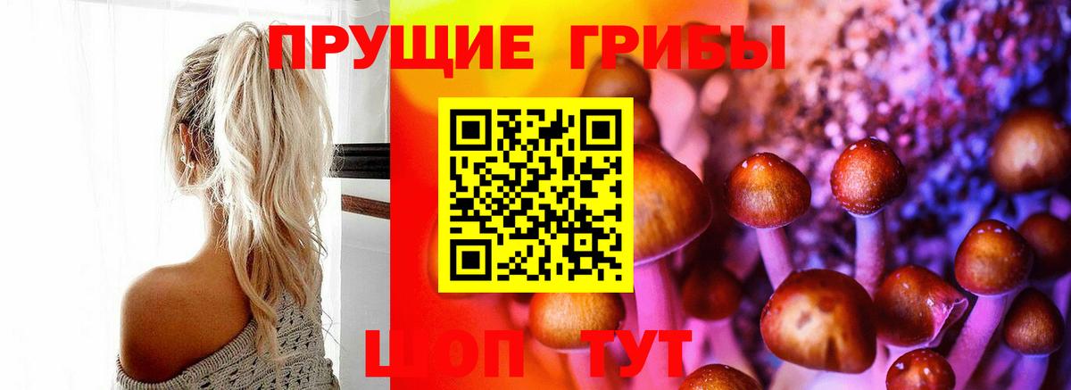 Семилуки  Псилоцибиновые грибы GOLDEN TEACHER  Вход с VPN 